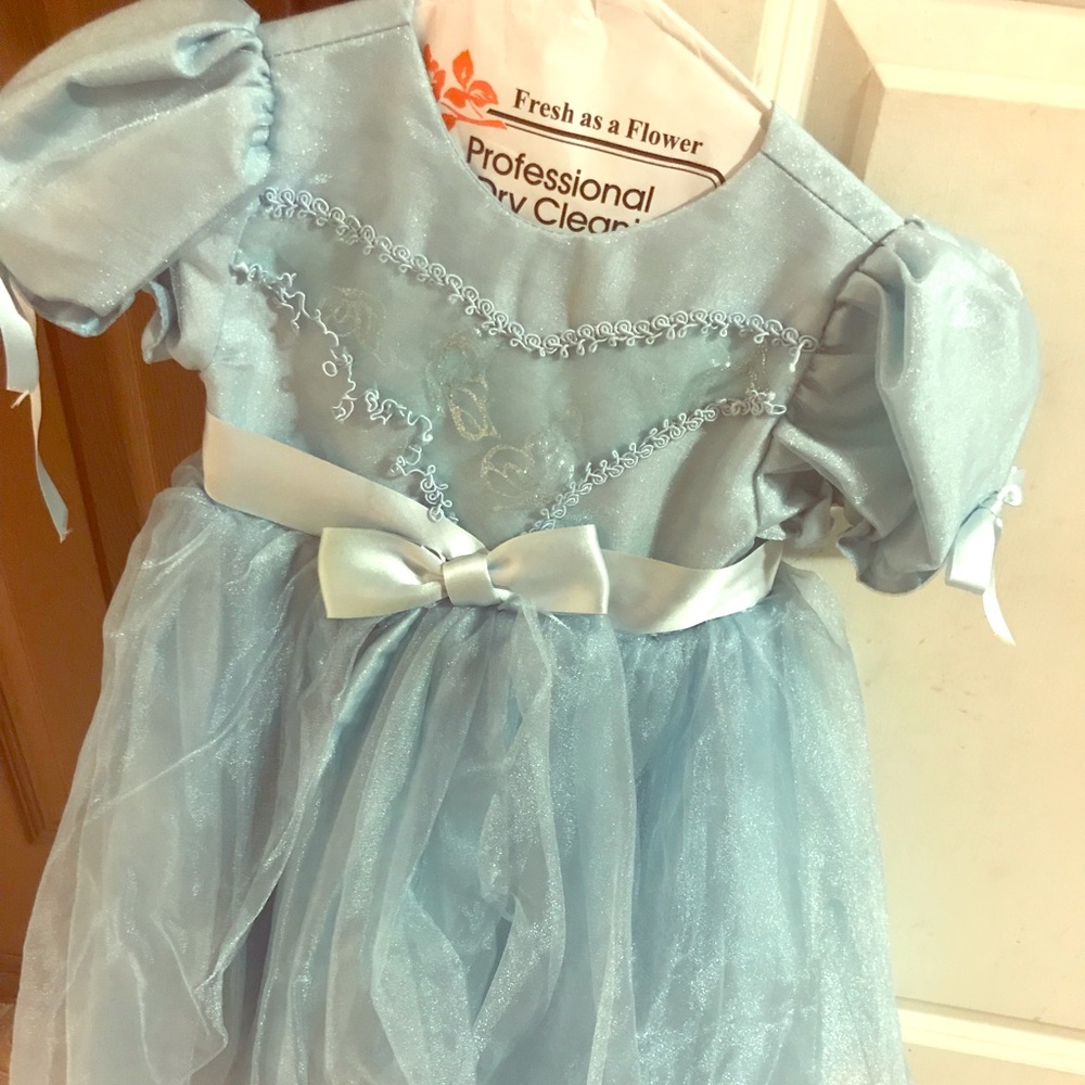 Cinderella handmade costume